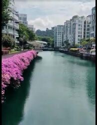 Caribbean At Keppel Bay (D4), Condominium #465956541